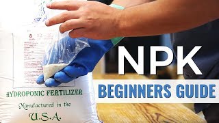 A Beginners Guide NPK in Hydroponics [upl. by Dylan]