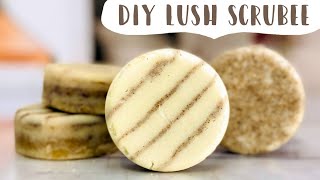 Make Your Own Lush Scrubee Bars [upl. by Tavis]