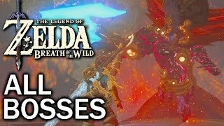 Zelda Breath of the Wild All Bosses [upl. by Wandy]