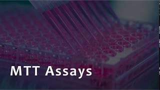 In vitro micronucleus assay [upl. by Willie]