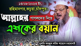 গতকালকে মাহফিলে আল্লাহর পাগলদের নিয়ে শায়েখে চরমোনাইর এশকের বয়ান। Mufti Foyzul karim Cormonai New Waz [upl. by Corliss]