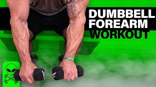 Intense 6 Minute Dumbbell Forearm Workout [upl. by Girand680]