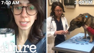 A Veterinarians Entire Routine from Waking Up to Treating Pets  Allure [upl. by Gamber141]