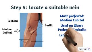 Phlebotomy How to Draw Blood [upl. by Betteann358]