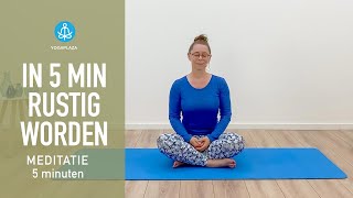 In 5 minuten Rustig Worden Meditatie [upl. by Conias556]