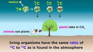 Radiometric Dating Carbon14 and Uranium238 [upl. by Baerman]