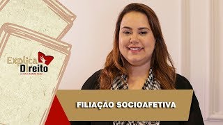 Explica Direito Filiação Socioafetiva  2019 [upl. by Nosnirb]