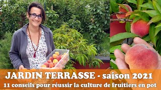 CULTIVER des FRUITIERS EN POT  11 astuces à savoir [upl. by Ronny103]