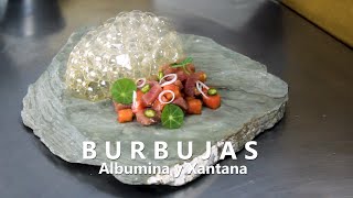 ¿COMO HACER BURBUJAS COMESTIBLES  BURNBUJAS DE PONZU CON ALBUMINA Y XANTANA [upl. by Eiclud750]