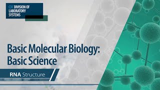 Basic Molecular Biology Basic Science – RNA Structure [upl. by Vincelette]