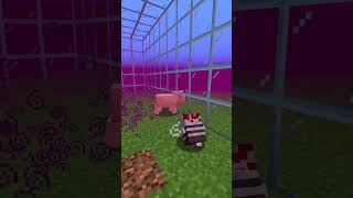 Infection Z Last apocalypse  Minecraft Mod addon minecraft modsmcpe modmcpe horror [upl. by Barris777]