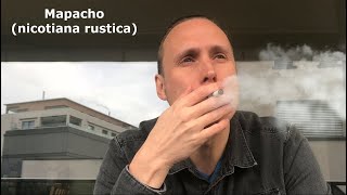 How I use mapacho tobacco [upl. by Klehm197]