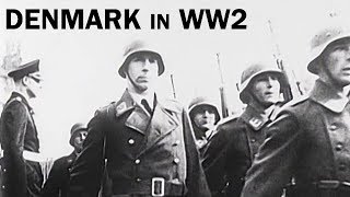 Denmark in World War 2  The Danish Resistance  Documentary Short  1944 [upl. by Arreic]