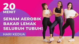 7 Hari Menurunkan Berat Badan dengan Senam Aerobik Bakar Lemak Seluruh Tubuh  Hari Kedua [upl. by Eittel263]