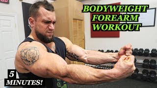 Intense 5 Minute At Home Forearm Workout 2 [upl. by Imot437]