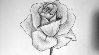 Comment dessiner une rose [upl. by Chimene12]