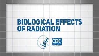 Biological Effects of Radiation [upl. by Garrik168]