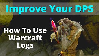 How To Use Warcraft Logs  Classic WoW  Balance Druid [upl. by Malissia]