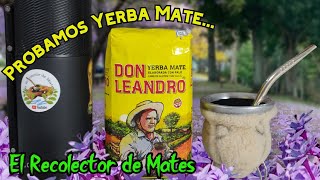 Probando Yerba mate Don Leandro [upl. by Neural170]