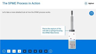 Introduction to Solid Phase Microextraction SPME for GC or LC Instrument [upl. by Myron52]