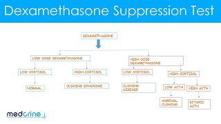 Dexamethasone Suppression Test How it is done and interpretation of the findings [upl. by Cyndy]