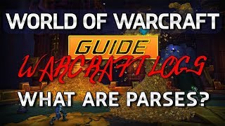 World Of Warcraft Guide  What are quotparsesquot aka WarcraftLogs scores [upl. by Giguere]