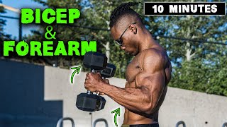 10 MINUTE LIGHTWEIGHT DUMBBELL BICEP amp FOREARM WORKOUT [upl. by Edmea]