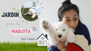 ¡CREA UN JARDIN Y BAÑO PARA TU MASCOTA  DIY [upl. by Hsiwhem406]