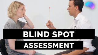 Blind Spot Assessment  OSCE Guide  UKMLA  CPSA  PLAB 2 [upl. by Nnawtna158]