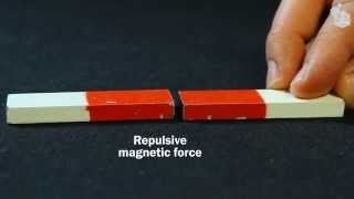 Video Lab Magnetic forces [upl. by Novel]