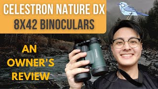 Celestron Nature DX 8x42 Binoculars  An Owners Review [upl. by Cappella]