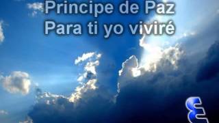 LC Tu eres santo principe de paz Javier sa [upl. by Sadnac]