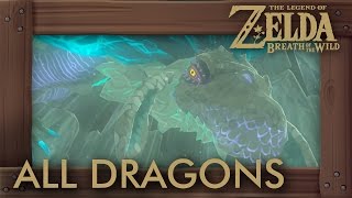 Zelda Breath of the Wild  All Dragon Locations amp Shrine Quests [upl. by Glinys628]