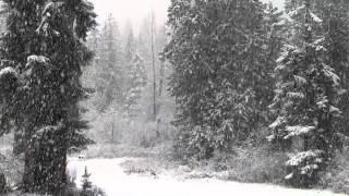 Fast Falling Snow 1080p Hd Without Music [upl. by Yreneh]