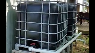 DIY Rainwater Harvesting amp Collection System [upl. by Kevina]