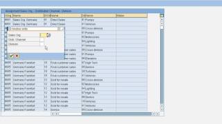 Setup Sales Area in SAP SD Module SALES amp DISTRIBUTION [upl. by Wilscam]