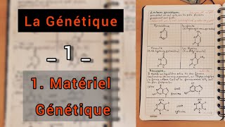 Génétique🧬 Le matériel génétique [upl. by Vernice]