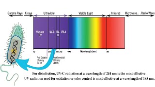 Understanding Ultraviolet UV Radiation and its Effects [upl. by Nyer]