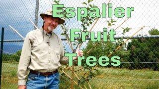 How to Espalier Fruit Trees [upl. by Seaddon]