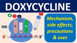 Doxycycline  Mechanism precautions side effects amp uses [upl. by Charron]