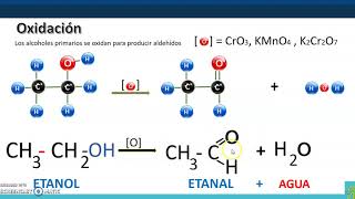 Reacciones de los alcoholes [upl. by Alyhs]