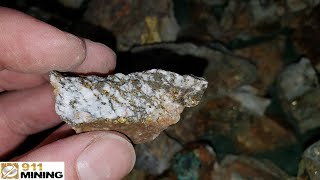 How To Find Gold amp Mineral Deposits [upl. by Iel227]