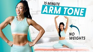 15 Minute Arm Burnout weightless upper body workout [upl. by Scevour]