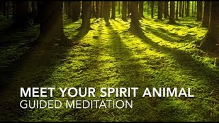 Meet Your Spirit Animal  Guided Meditation [upl. by Yankee799]