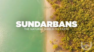 SUNDARBAN Tour  The Natural Shield on Earth  Sundarban National Park Delta  Sundarban Documentary [upl. by Salomon]