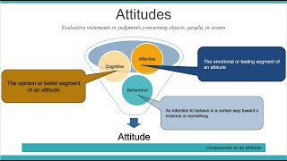 Attitudes And Job satisfaction  organizational behavior Chapter3 [upl. by Eaton]