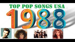 Top Pop USA Songs 1988 [upl. by Burroughs584]