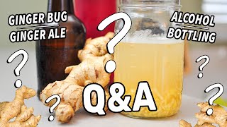 GINGER BUG amp GINGER ALE Questions Answered  Troubleshooting amp FAQs on Fermented Drinks [upl. by Ittap235]