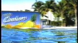 Capri Sun Commercial from 2002 [upl. by Shakti727]