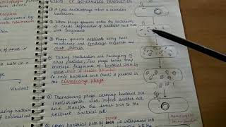 Transduction Genetic recombination in bacteria [upl. by Erihppas785]